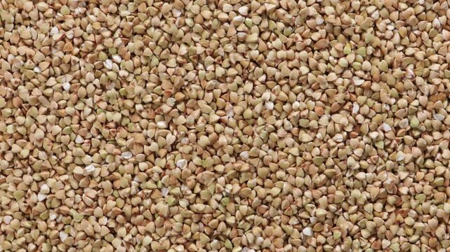 uncooked green buckwheat zoom top view