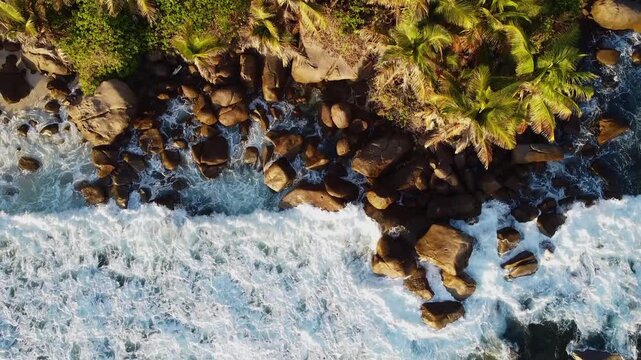 Aerial view of tropical rocky coastline with palm trees and ocean waves