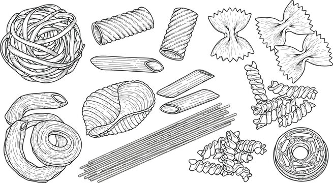 Different pasta shapes hand drawn vector illustration set for cooking