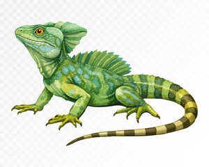 Fototapeta premium Green basilisk lizard with crest and long banded tail, exotic tropical reptile rendered in a detailed hand painted wildlife style, isolated natural history artwork for decor. Vector