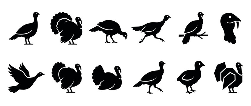 Turkey icons set featuring various poses and styles of the domestic bird, perfect for holiday designs and farm animal illustrations.