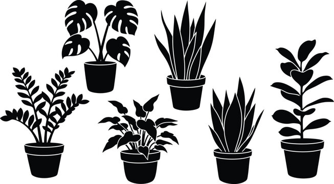 Set of silhouette indoor house plants in pots for home decor with potted plant with snake plant