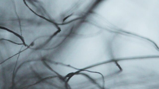 Focusing on threads with an optical microscope
