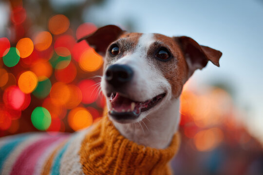 create minimalist cleaning plan for apartment that emphasizes kitchen organization