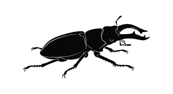 A striking black stag beetle is depicted in profile showcasing its large mandibles and detailed form silhouette high quality professional modern