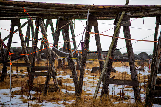 Traditional wooden fish drying racks with ropes in a snowy coastal field, Akranes, Iceland