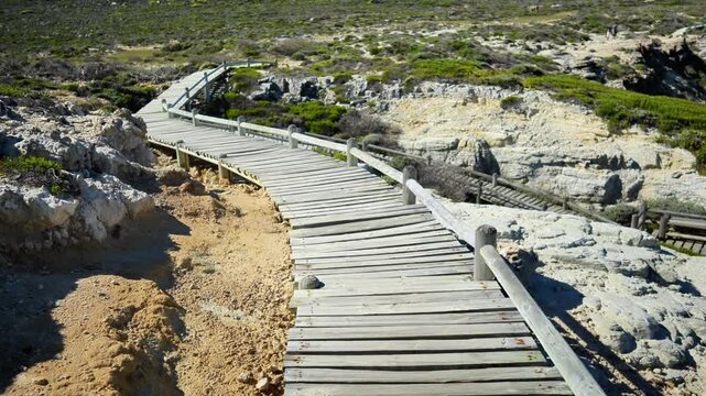 Wooden Boardwalk On Cape Town Coast Winding Through Fynbos And Sandstone, Sunlit Scrub, Panoramic Coastal