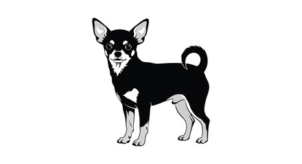 A charming black chihuahua stands alertly with perked ears and a curled tail presented as a silhouette high quality professional detailed © CreativeAkash099