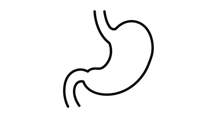 Fototapeta premium Simple line drawing illustrates a human stomach black silhouette