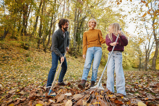 A joyful family is spending a weekend in autumn, raking leaves together in a vibrant forest filled with yellow and orange foliage, creating lasting memories.