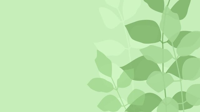 Branches sway in the wind on a light green background . Animated natural background .
