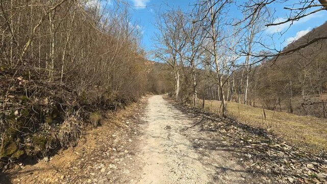 Walking Along Forest Dirt Road &ndash; Sunny Autumn Day. Vrmdza, Mount Rtanj area. Balkans, Serbia.