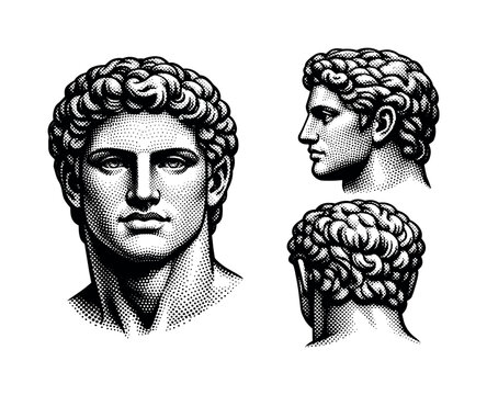 Greek Statue Head ? heroic idealized head. A heroic idealized Greek statue head with strong jawline, balanced symmetry, and stylized curls illustrated as one