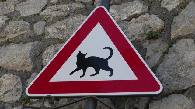 Triangular road sign warning of crossing cats in Italy