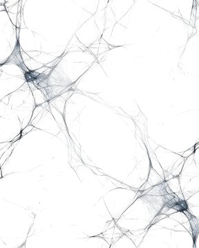 Thin web pattern with deli