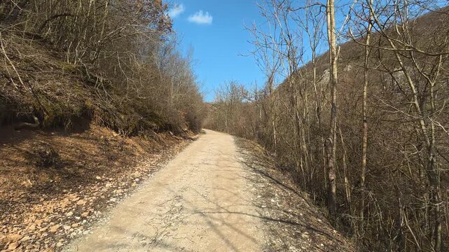 POV Walking on Forest Dirt Road &ndash; Sunny Autumn Woodland. Vrmdza, Mount Rtanj area. Balkans, Serbia.