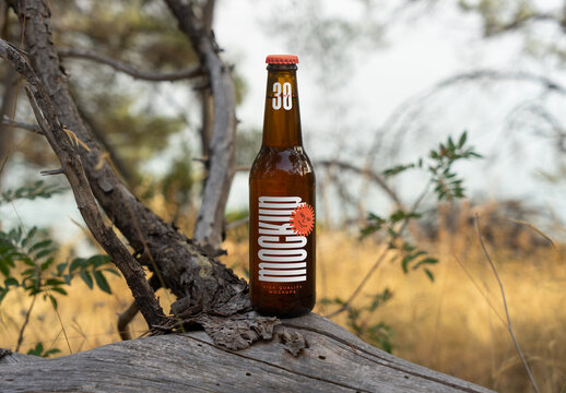 Bottle in the Forest Mockups