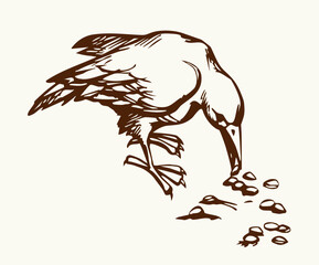 Naklejka premium Vector drawing. Old big crow