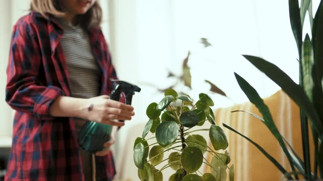 Young teenage girl misting Pilea Peperomioides in cozy living room, indoor gardening lifestyle.