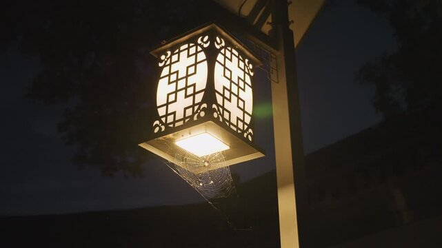Warm glowing lantern with drifting particles, serene night garden scene with ornate metal frame, soft amber illumination casting patterned shadows on nearby foliage, subtle motion of suspended specks
