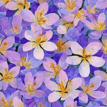 watercolor seamless pattern of saffron crocus lilac purple watercolor patterns drawing print spring square shape