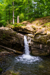 Fototapeta premium landscape with small waterfall surrounded by the beech forest on a summer day. rocks with moss in dappled light. pristine nature scenery on the turychka river in ukraine. wonderful ecosystem of europe