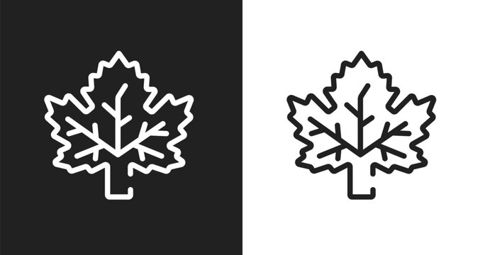 Mapple leaf icon. Linear black, white icon from hockey collection. Outline mapple leaf vector. Thin line symbol isolated on white and black background