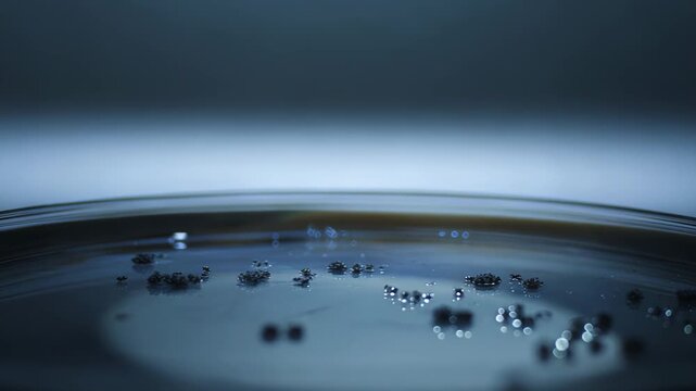 Petri dish surface growing various bacterial colonies, aiding scientific research and development in molecular biology, medicine, and pharmaceutical discovery