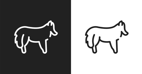 Obraz premium Shetland sheepdog icon. Linear black, white icon from dog breeds heads collection. Outline shetland sheepdog vector. Thin line symbol isolated on white and black background