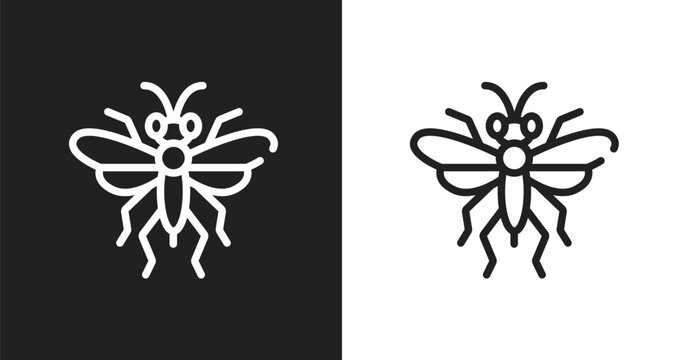 Sawfly icon. Linear black, white icon from insects collection. Outline sawfly vector. Thin line symbol isolated on white and black background