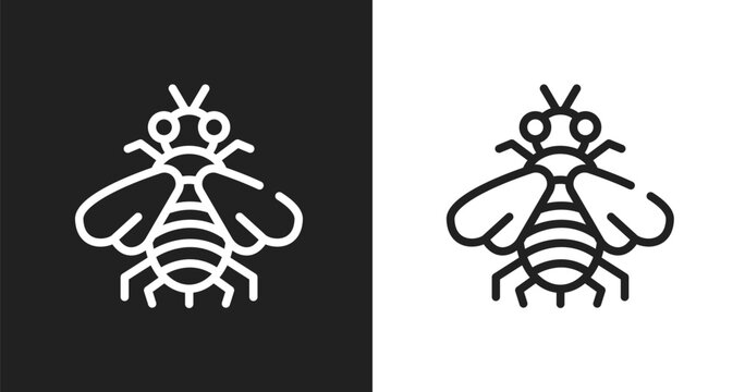 Bumblebee icon. Linear black, white icon from insects collection. Outline bumblebee vector. Thin line symbol isolated on white and black background