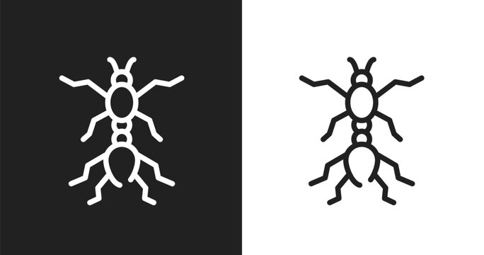 Red ant icon. Linear black, white icon from free animals collection. Outline red ant vector. Thin line symbol isolated on white and black background