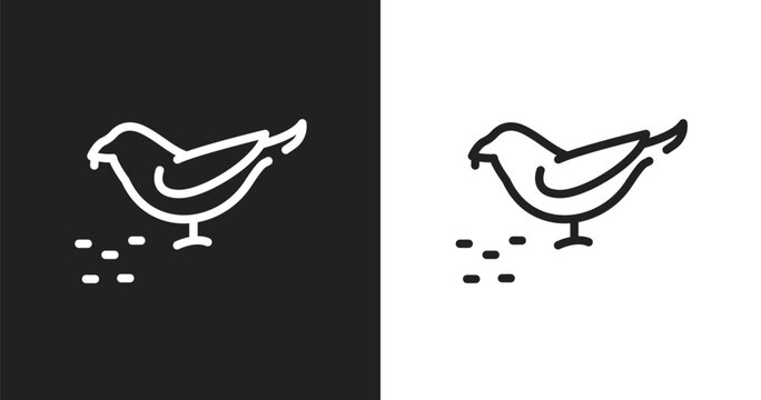 Bird eating seeds icon. Linear black, white icon from birds pack collection. Outline bird eating seeds vector. Thin line symbol isolated on white and black background