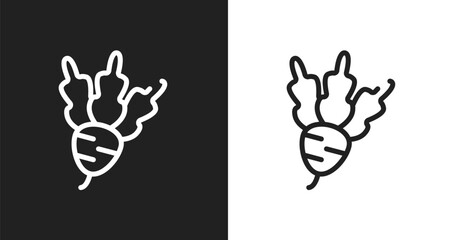 Obraz premium Beet icon. Linear black, white icon from thanksgiving collection. Outline beet vector. Thin line symbol isolated on white and black background