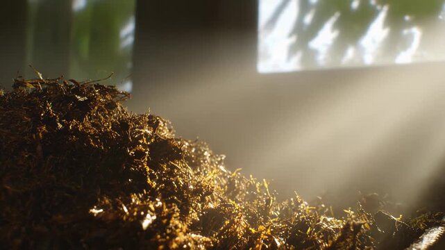 Large compost pile in a dim barn illuminated by a strong sunlight ray, showing decomposing organic material, glowing dust particles and rich, earthy texture