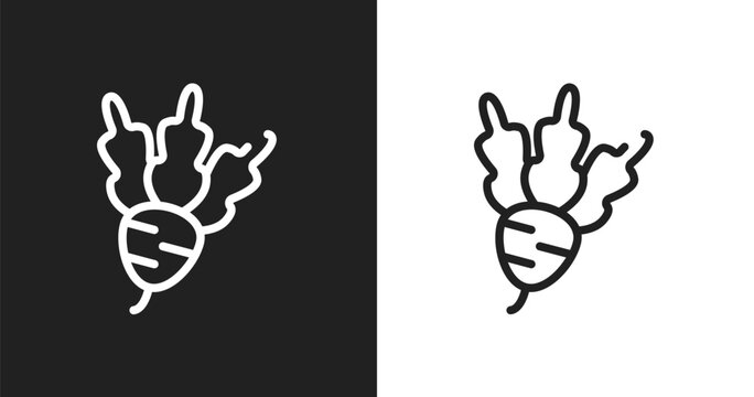 Beet icon. Linear black, white icon from thanksgiving collection. Outline beet vector. Thin line symbol isolated on white and black background