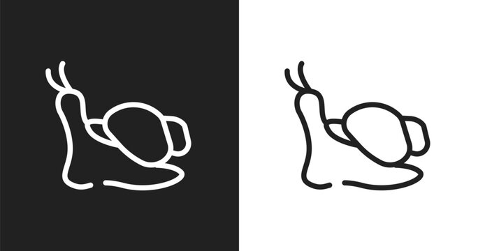 Snails icon. Linear black, white icon from pets collection. Outline snails vector. Thin line symbol isolated on white and black background