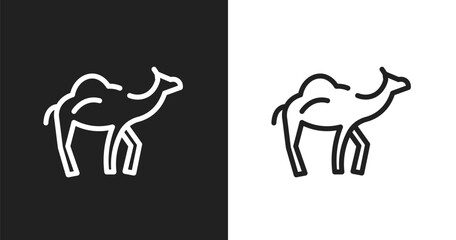 Dromedary icon. Linear black, white icon from desert collection. Outline dromedary vector. Thin line symbol isolated on white and black background © VectorStockDesign