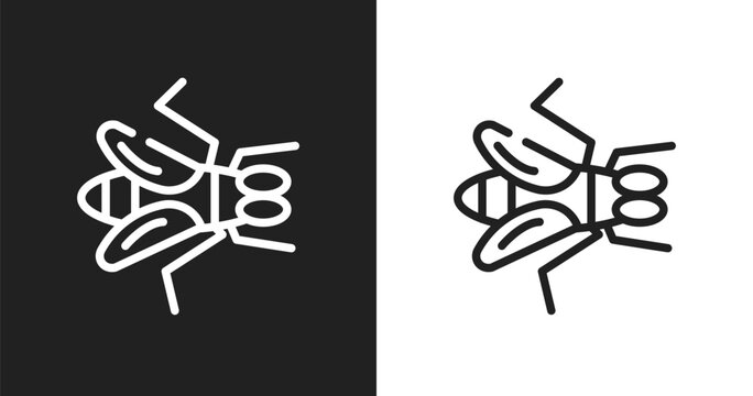 Gadfly icon. Linear black, white icon from insects collection. Outline gadfly vector. Thin line symbol isolated on white and black background