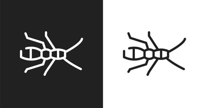Earwig icon. Linear black, white icon from insects collection. Outline earwig vector. Thin line symbol isolated on white and black background