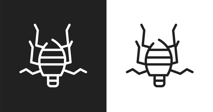 Bedbug icon. Linear black, white icon from insects collection. Outline bedbug vector. Thin line symbol isolated on white and black background