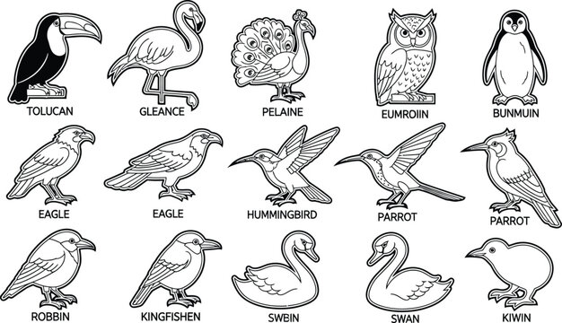 Collection of various bird species illustrated in black and white line art style  birds of different types and names