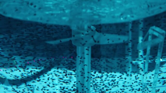 A laboratory glass mixer uses an impeller to stir black particles in a liquid. Closeup