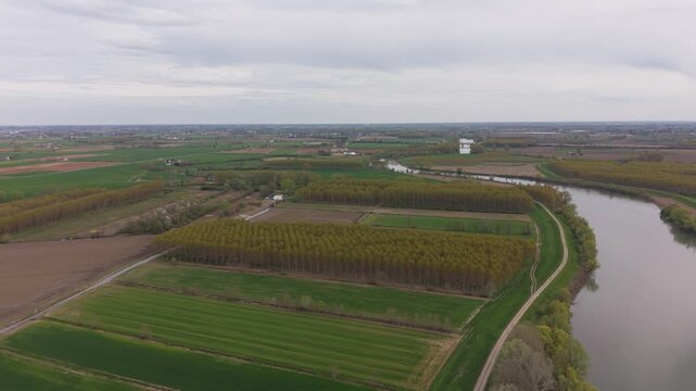 High-altitude drone shot of a young tree plantation with precise row alignment, illustrating structured forestry planning and agricultural land preparation for harvesting. Italy, Lombardy