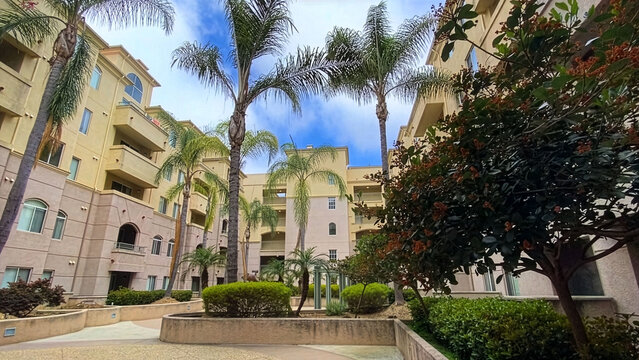 Modern American residential building courtyard with tall palm trees and lush flower beds. Looking up towards a bright blue sky with white clouds. Sunny day, upscale suburban lifestyle.