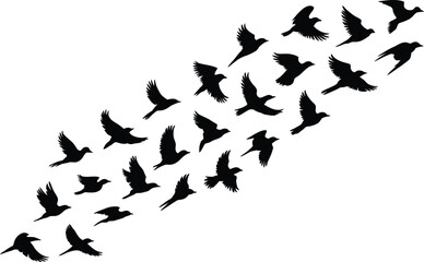 Fototapeta premium Flying birds flock silhouette black vector illustration group of birds in motion minimal design isolated background wildlife freedom concept