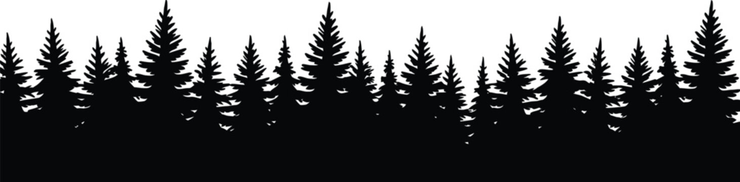 Pine tree forest silhouette border seamless vector illustration black evergreen woodland landscape nature design isolated horizon decorative background,