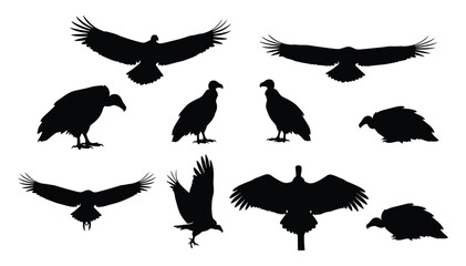 Obraz premium Vulture and Large Raptor Silhouette Set — Black Vector Illustrations of Scavenger Birds in Soaring, Landing, and Resting Poses