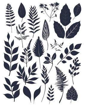 Botanical silhouette overlay with varied leaf sizes isolated on white background 