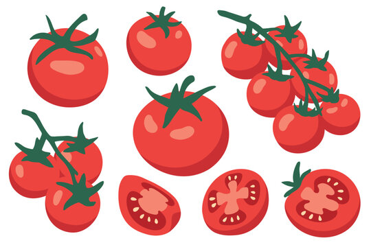 Set of red whole,slice,half tomatoes with shadows style. Fresh whole tomato vegetables isolated on light background